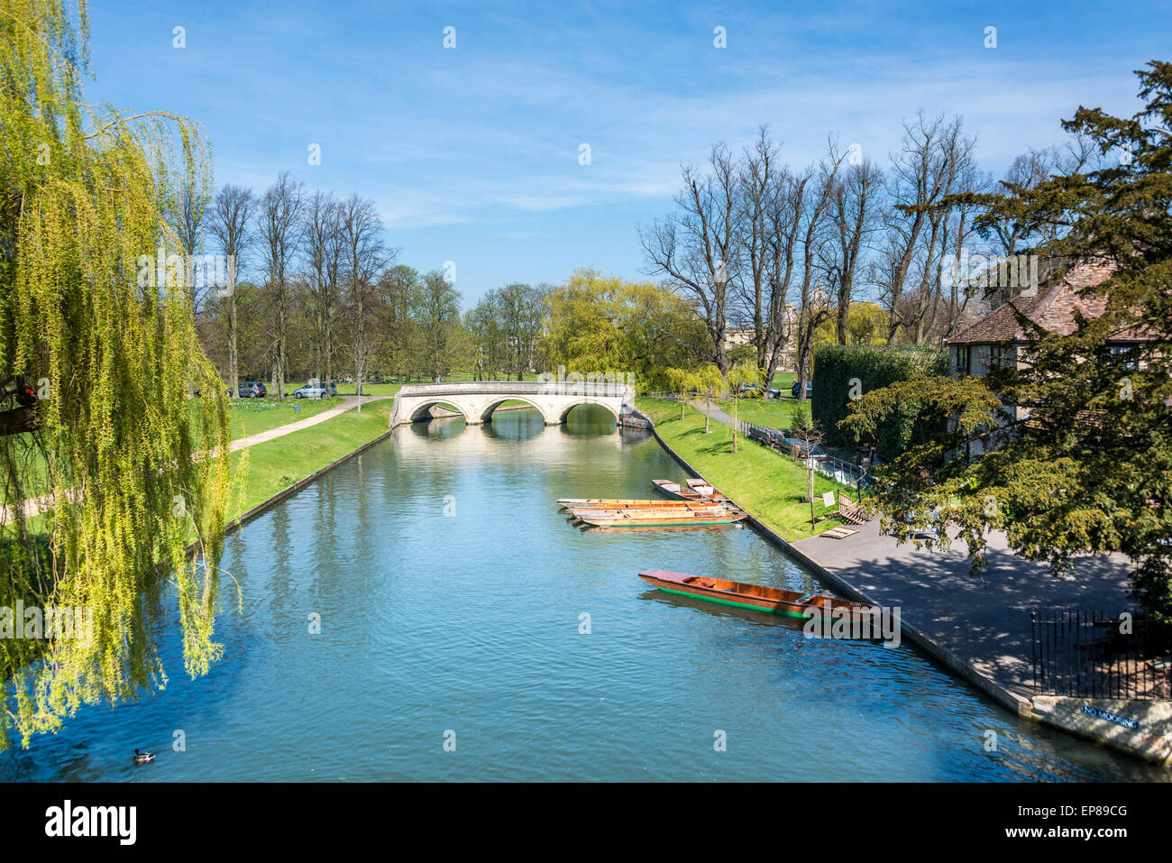 Views down the River Cam, Cambridge on a summer's day with punts on the side of the river Stock Photo