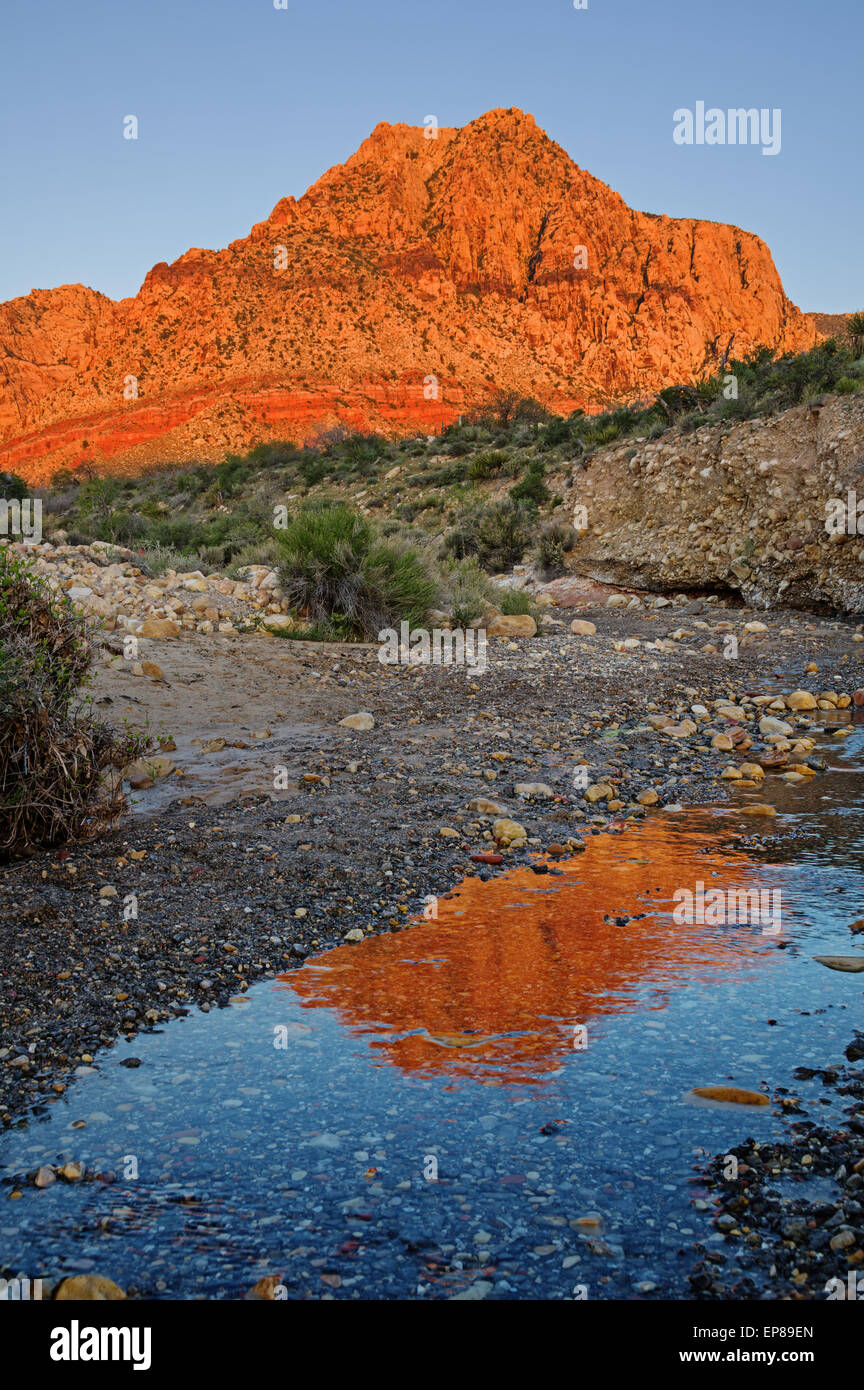 reflection of Red Rocks mountain lit up by morning light in a small stream Stock Photo