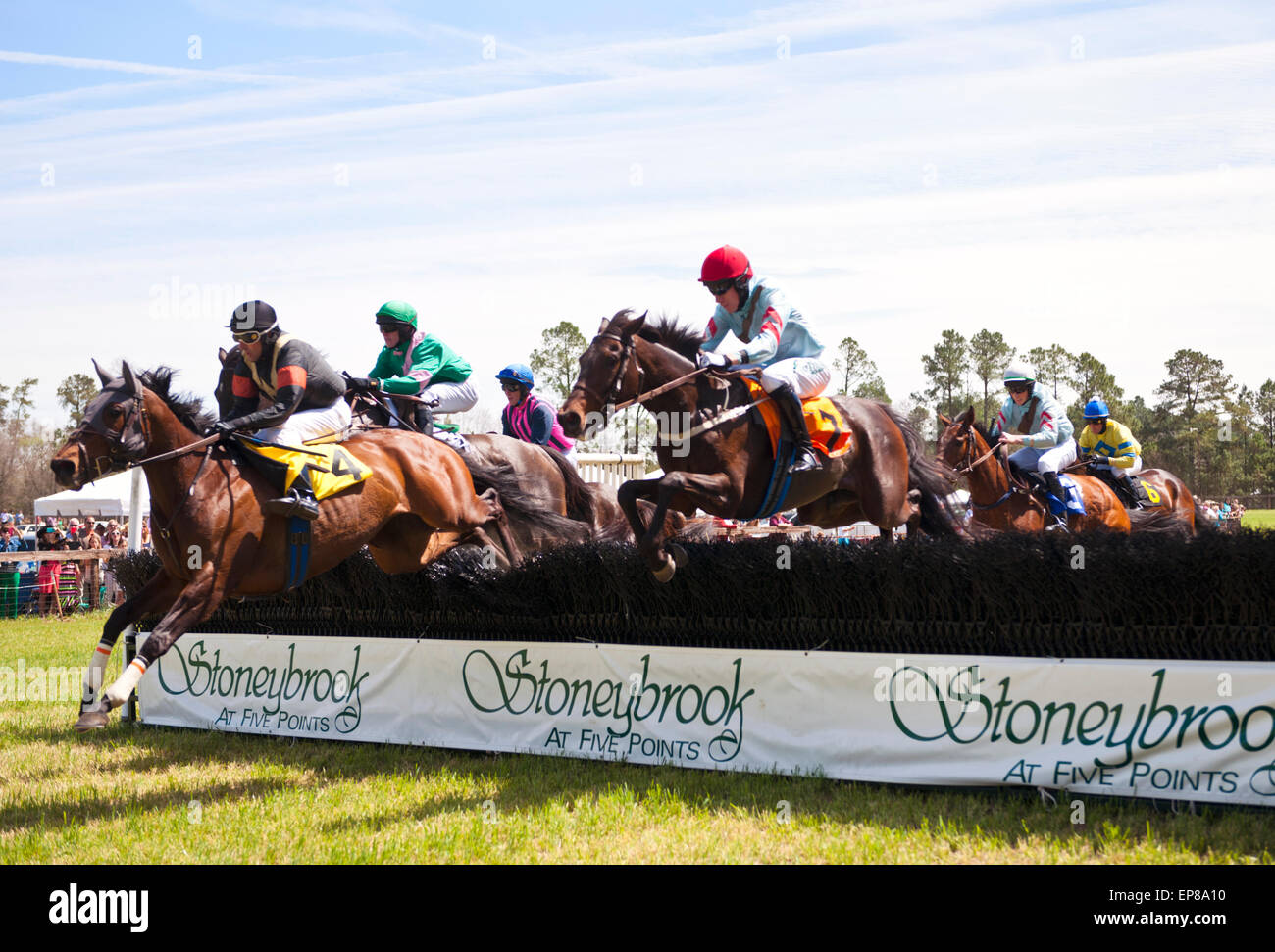 The 64th Running of the Stoneybrook Steeplechase Races, horses and jockeys hit the backstretch hurdles. Stock Photo