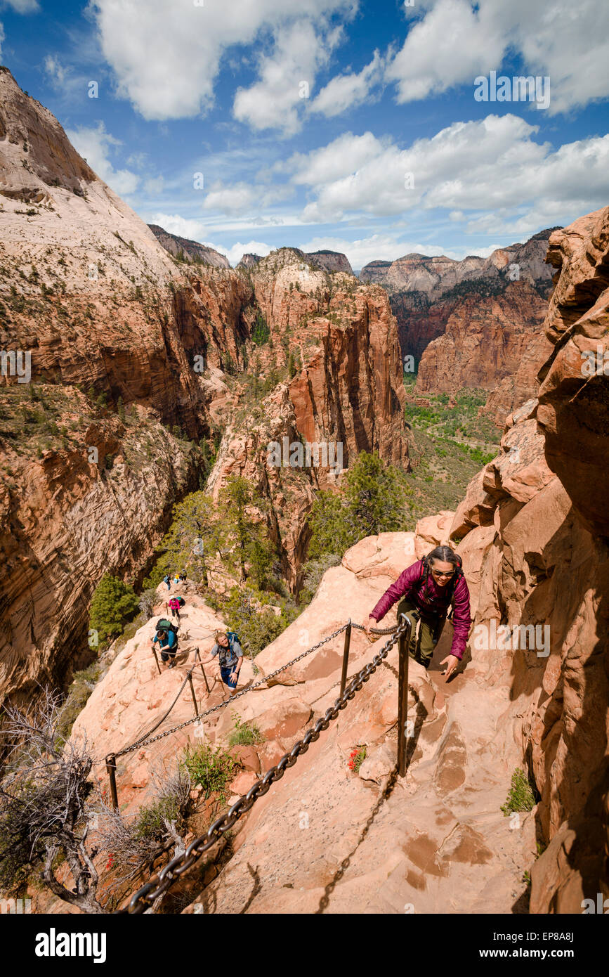 The narrow exposed ridge of the final part of the Angel's Landing hike in Zion National Park in Utah begins. This is not for the Stock Photo