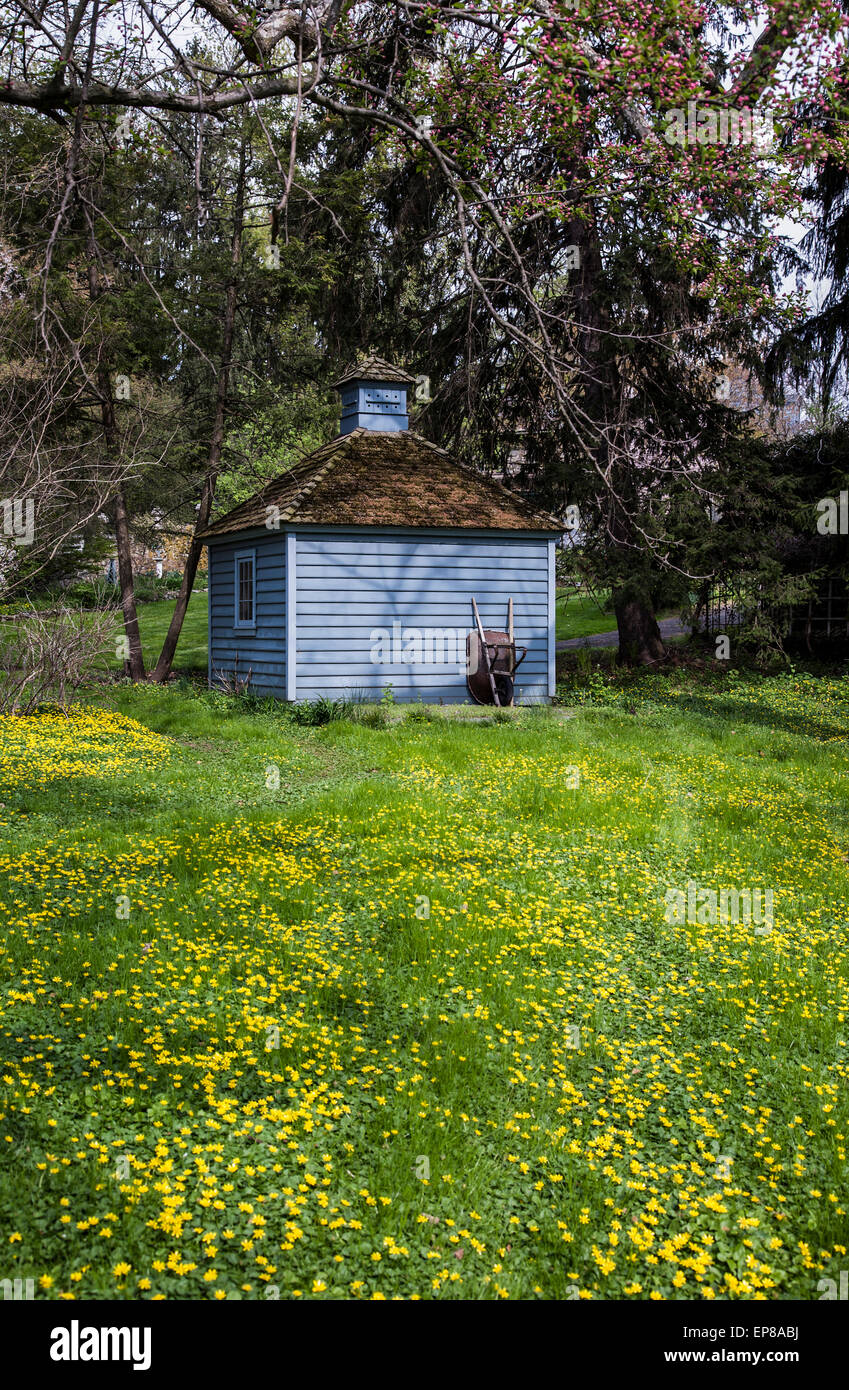 Blue retro gardening potting shed isolated and wheelbarrow with yellow