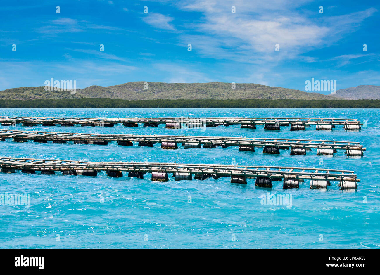 oyster farming on Friday Island Torres Strait Stock Photo