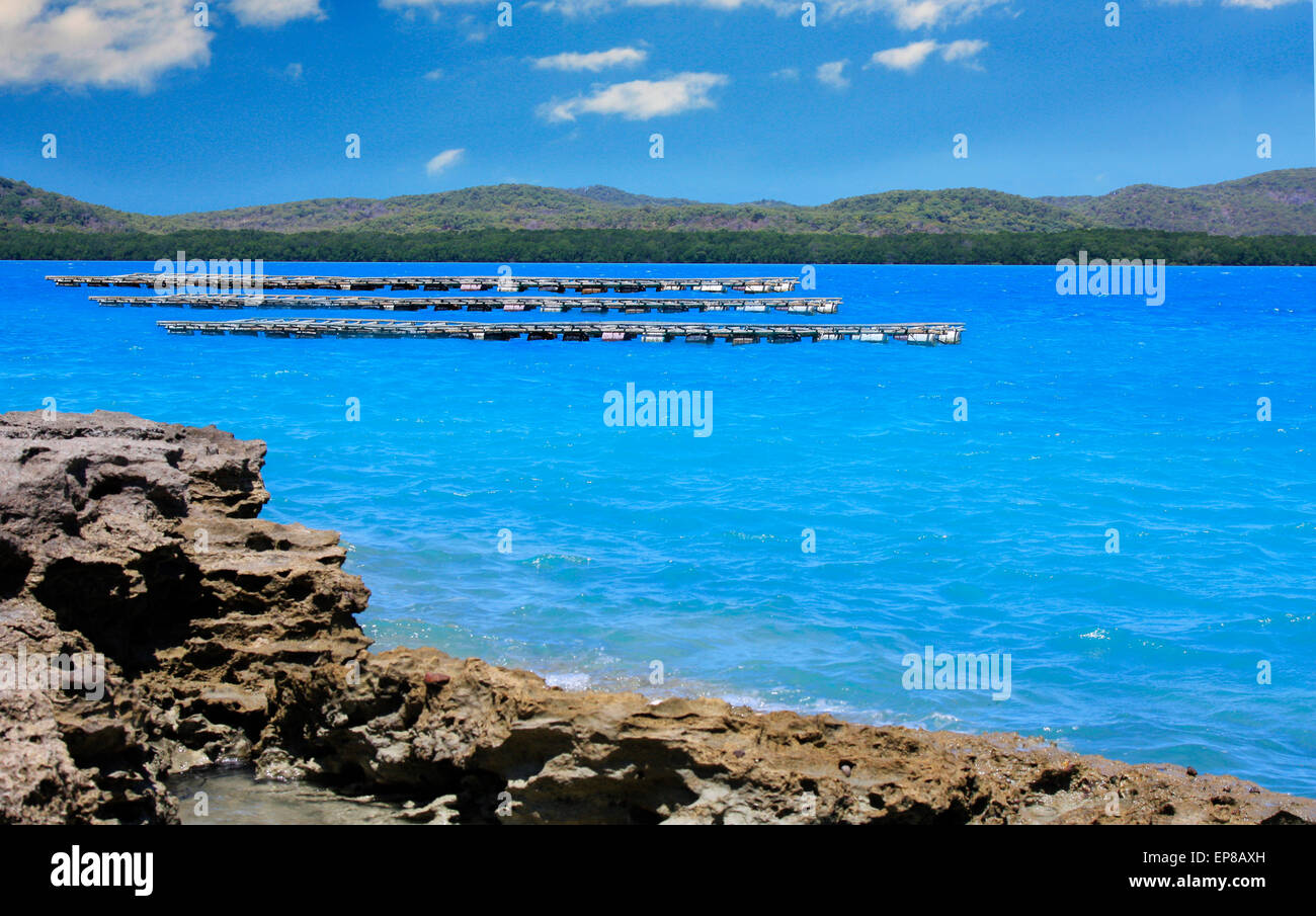 oyster farms on Friday Island in the Torres Strait Australia Stock Photo