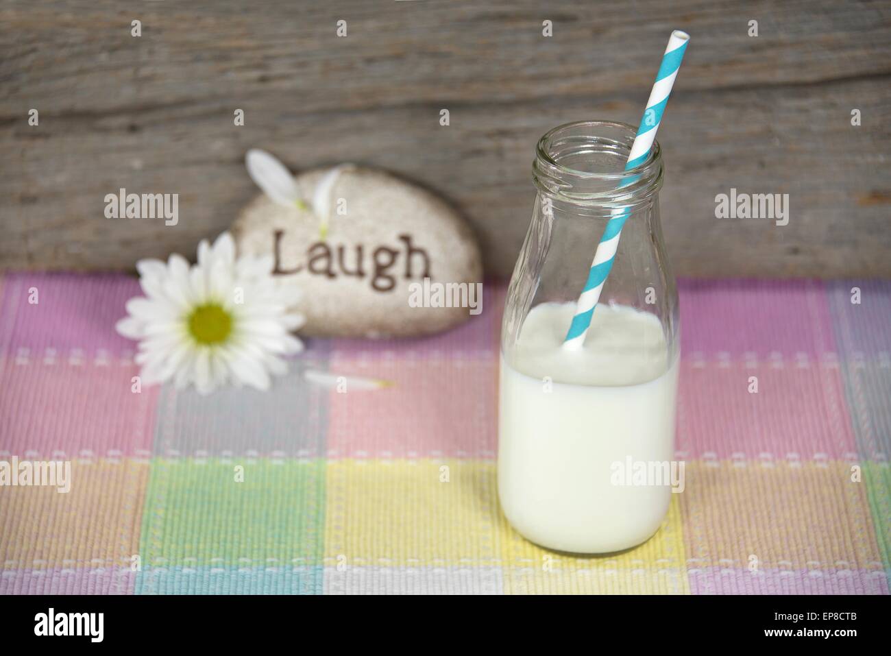 White milk and striped drinking straw in glass retro milk bottle with daisy and rock on plaid fabric. Stock Photo