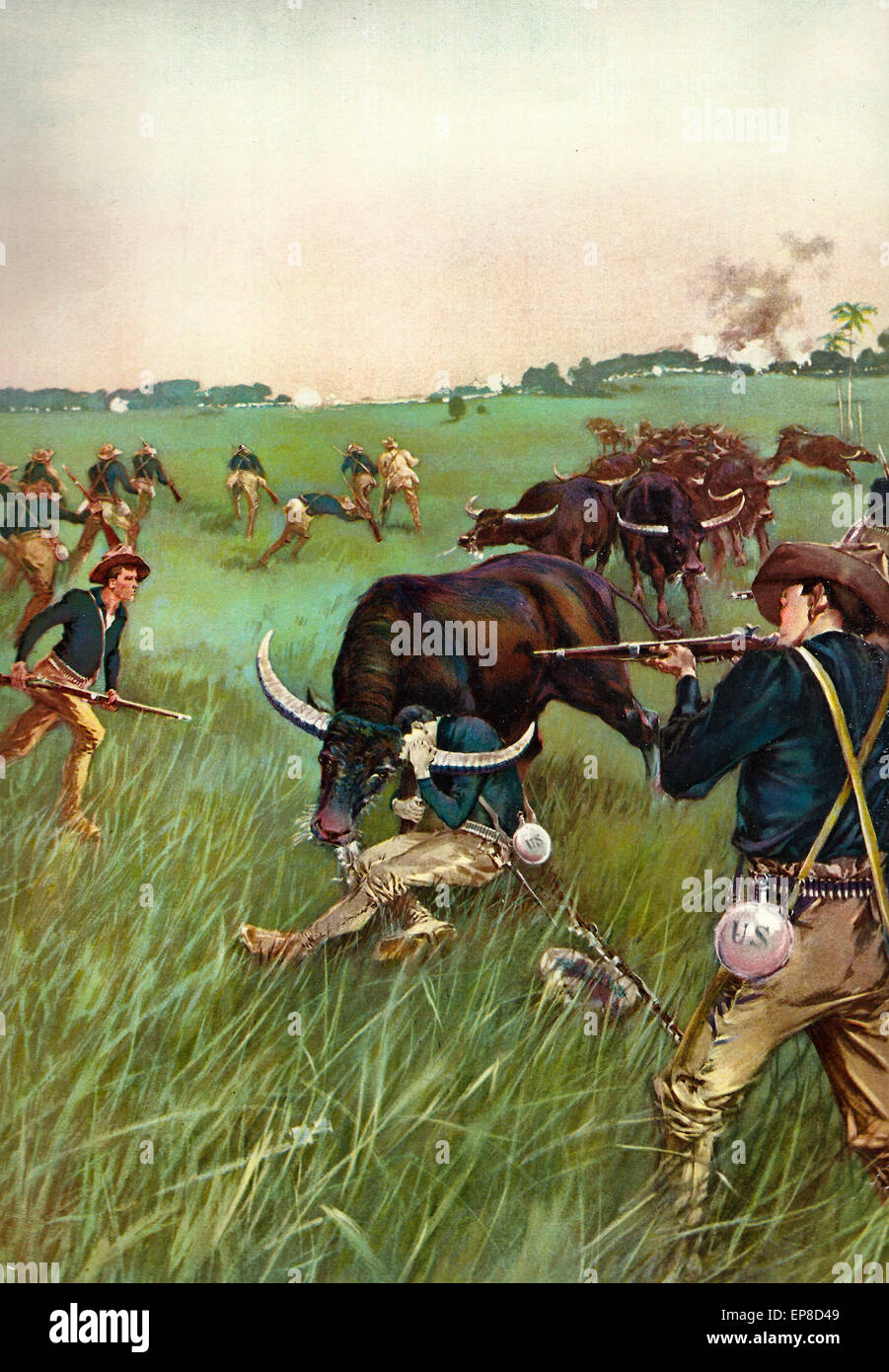 A Charge by Carabaos - American Soldiers charged by Carabaos during the Phiilippine American War  1899 Stock Photo