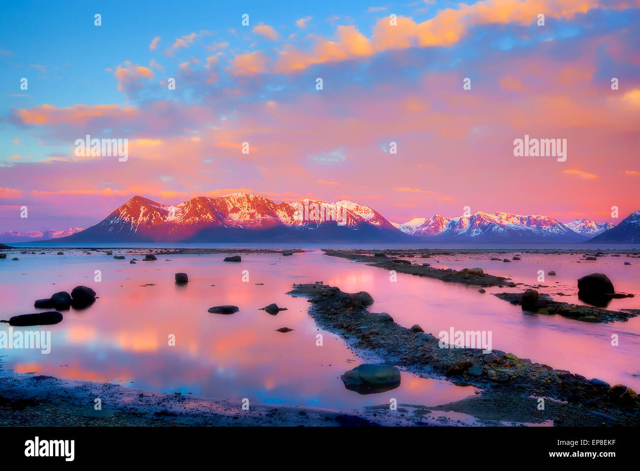 Singapore landscape nature hi-res stock photography and images - Alamy