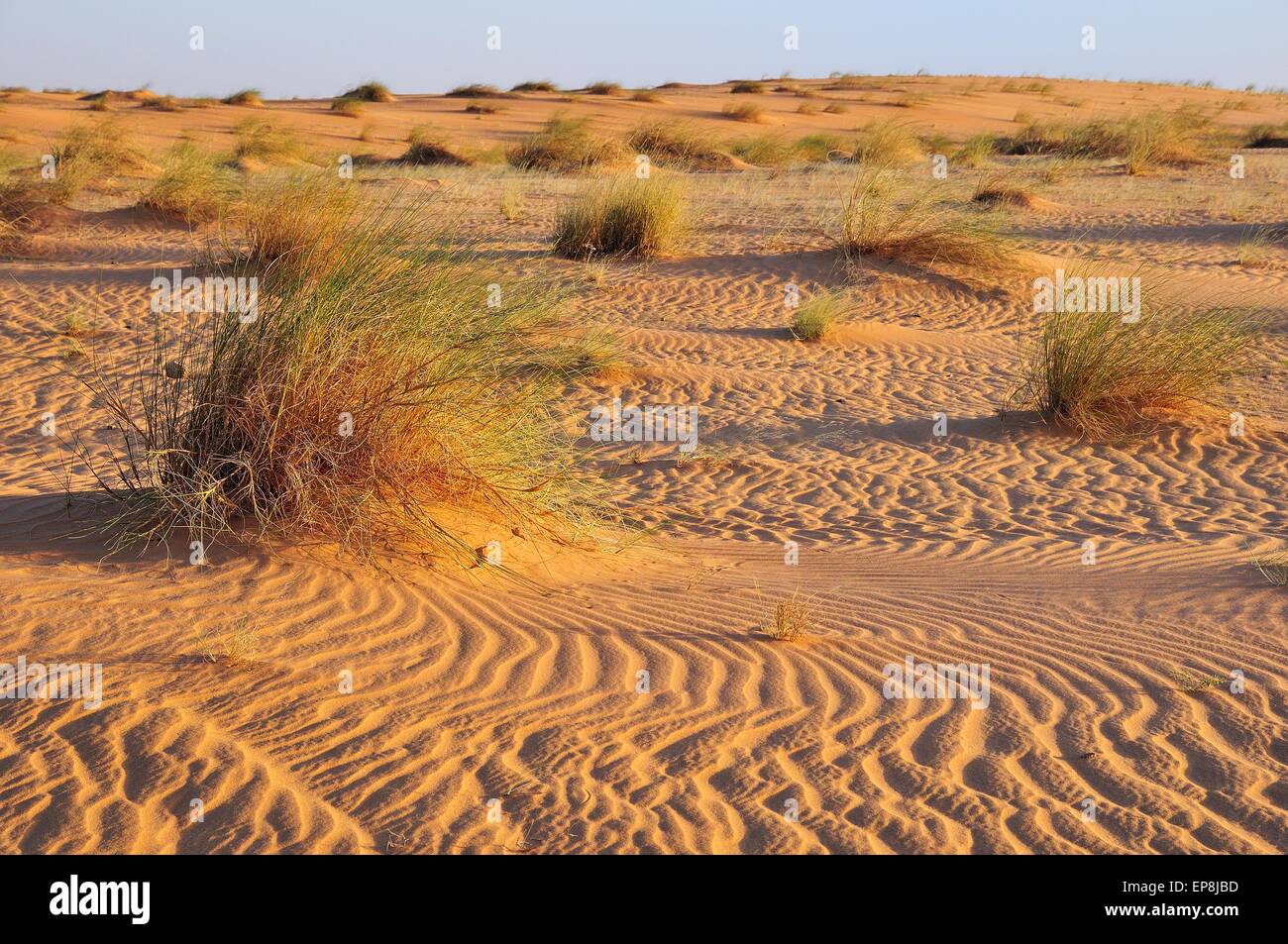 Sand ridges in the Sahara desert between Nouadhibou and Atar, Dakhlet ...