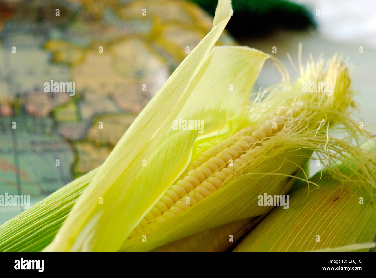 Mielies or corn on the cob is often cooked on open fire in South Africa