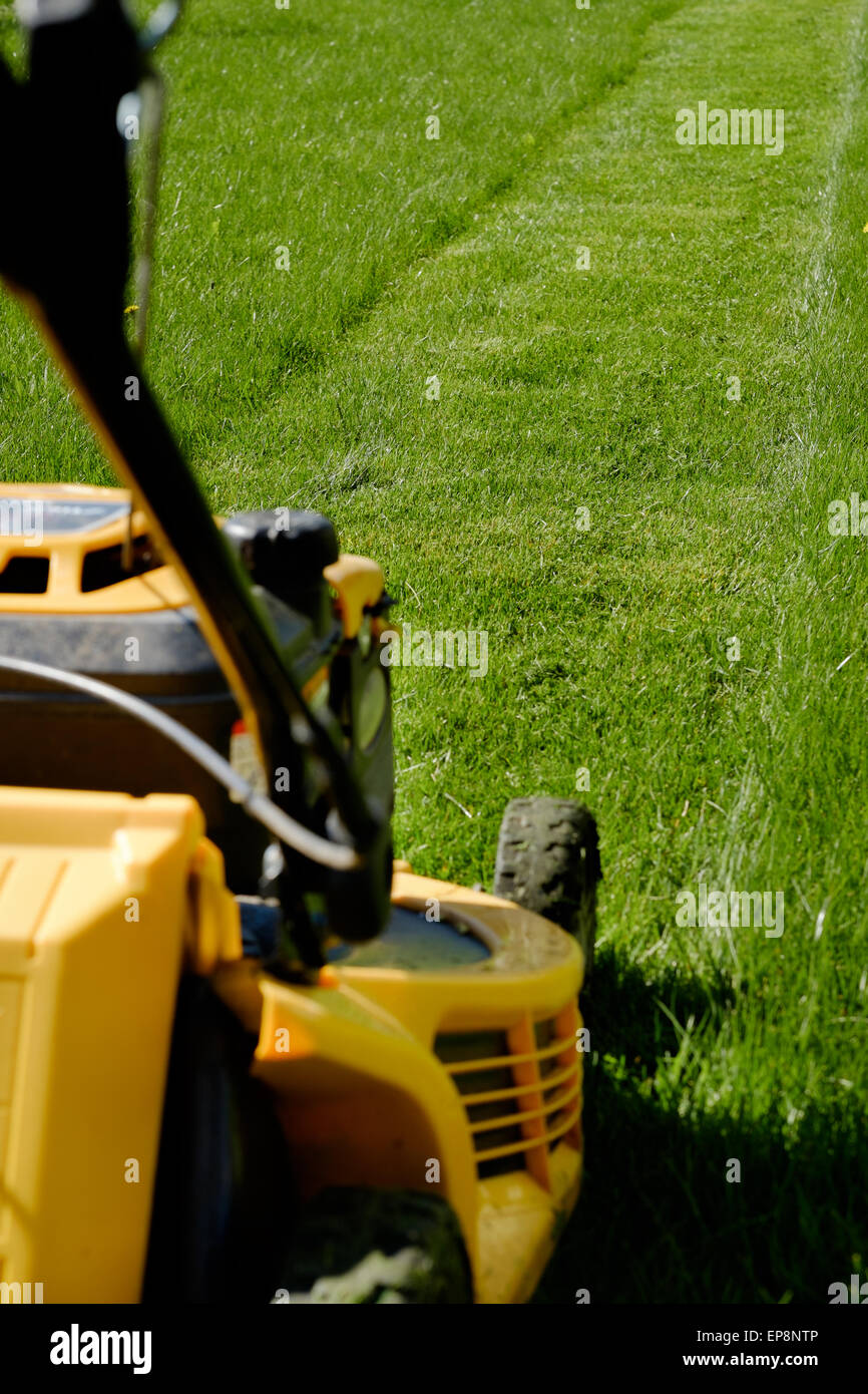 Yellow lawn mower on the green grass. Caring for a garden. Shallow