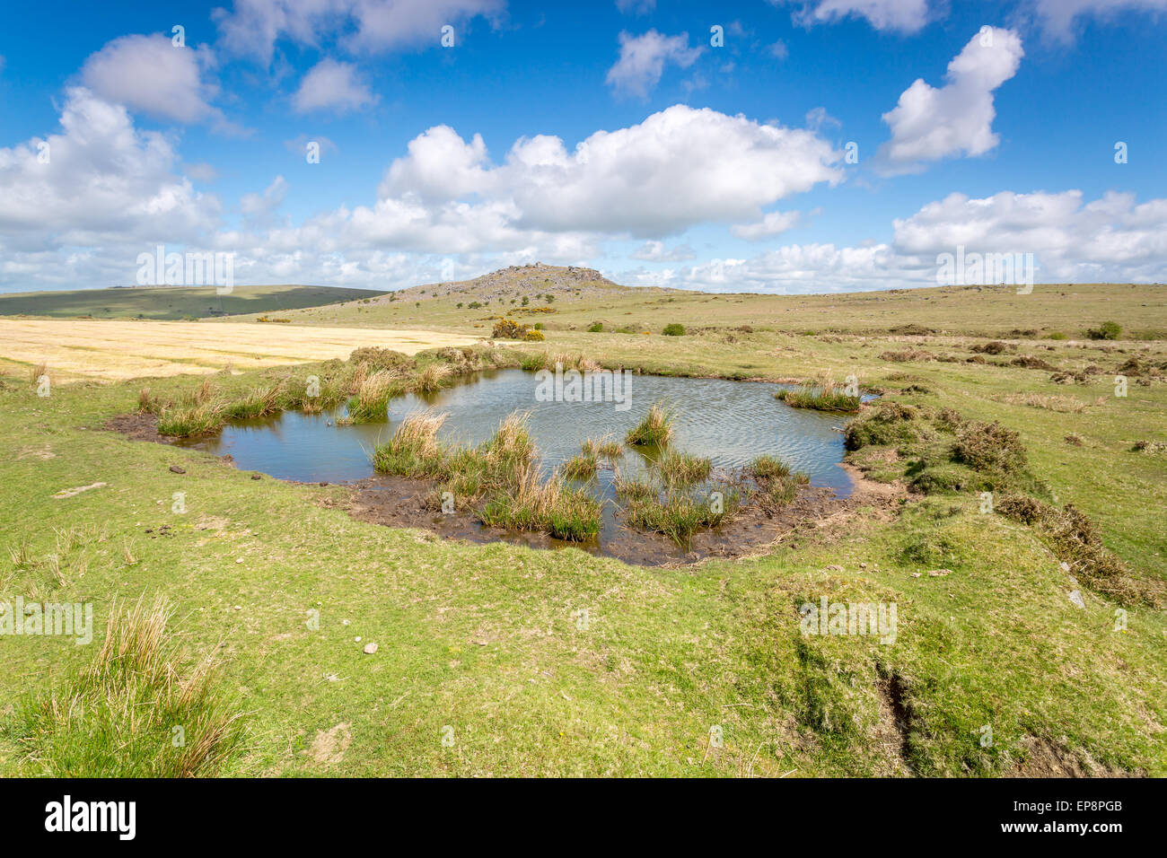 Cheeserings bodmin moore cornwall england uk Stock Photo - Alamy