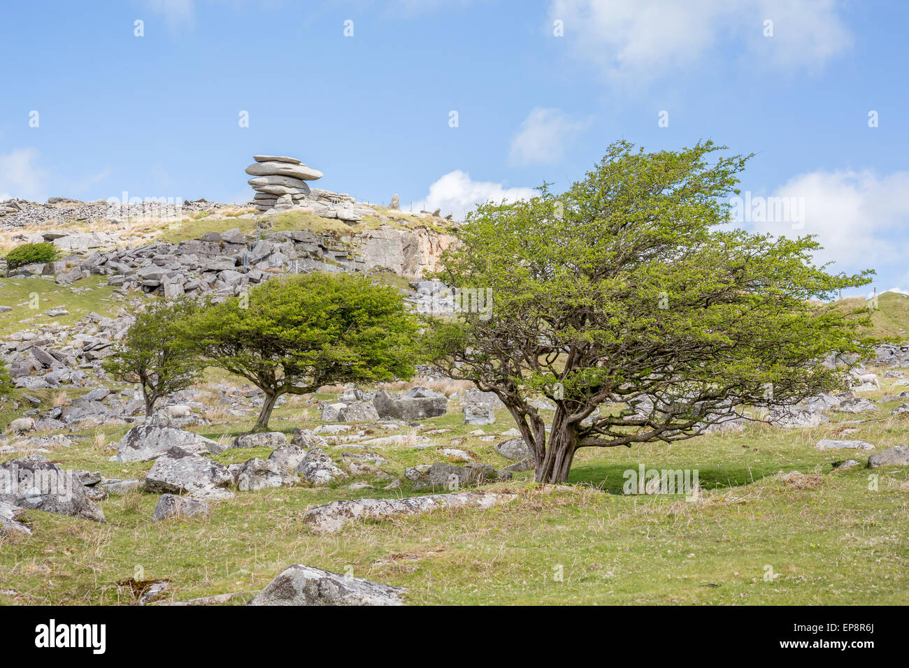 Cheeserings hi-res stock photography and images - Alamy