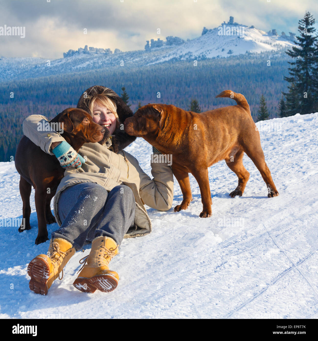 Happy woman hugging her dogs while smiling and lying on snow field in font of distant mountains range. Vacation,happiness,dogs t Stock Photo