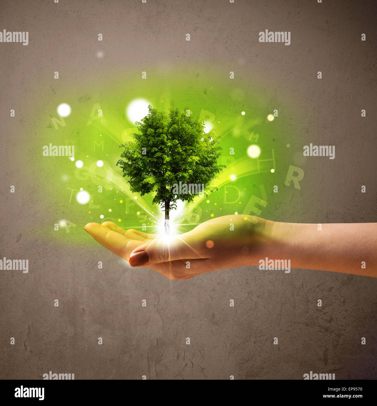 Woman Hand Tree Glowing tree growing in the hand of a woman Stock Photo - Alamy