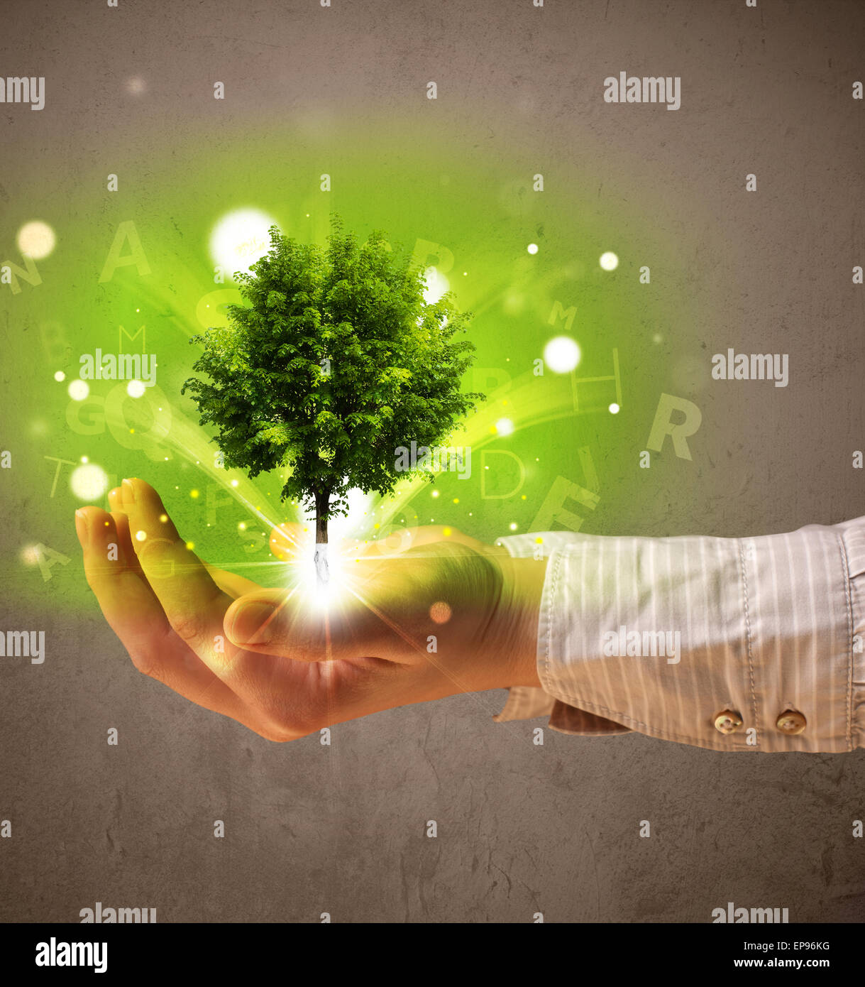 Woman Hand Tree Glowing tree growing in the hand of a woman Stock Photo - Alamy