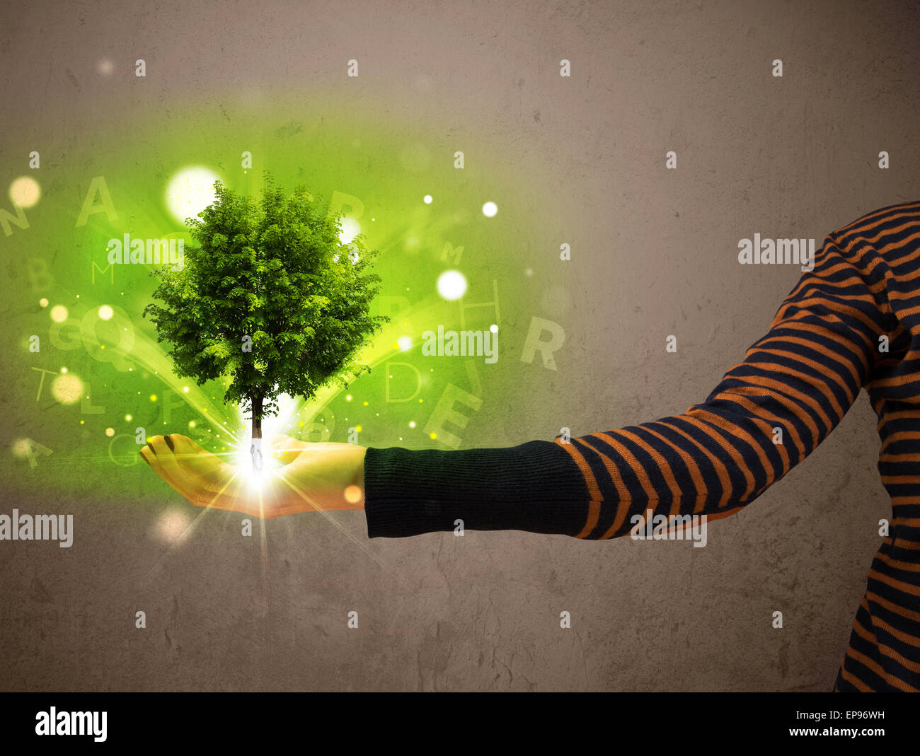 Woman Hand Tree Glowing tree growing in the hand of a woman Stock Photo - Alamy