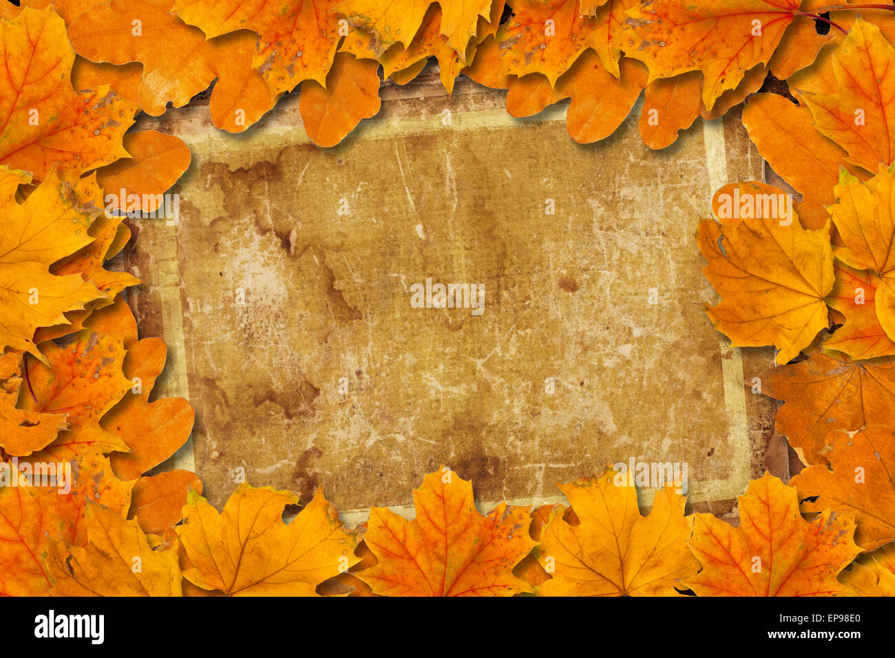 Bright fallen autumn leaves on the old paper background Stock Photo - Alamy