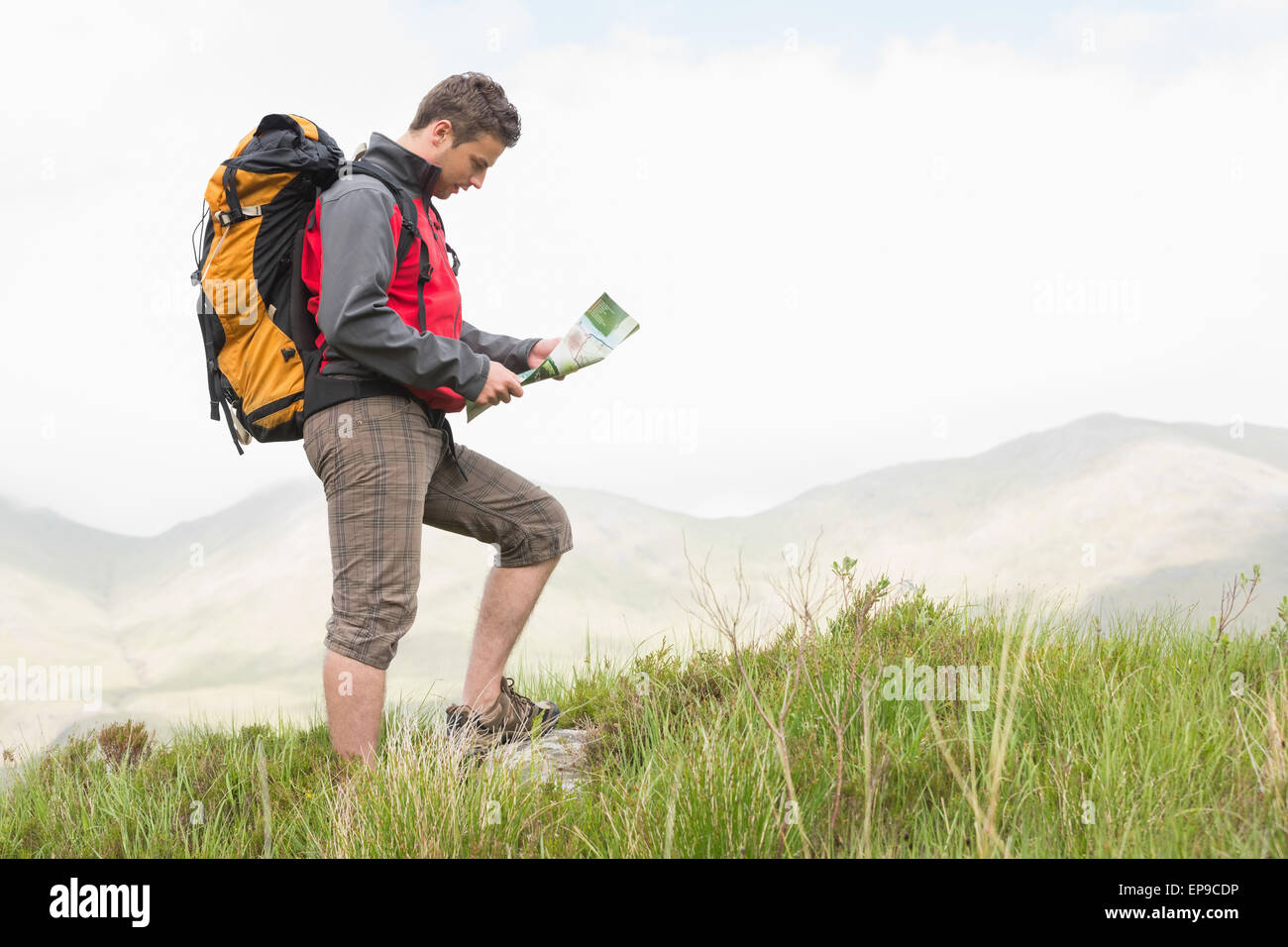 Handsome hiker holding map mountain hi-res stock photography and images ...