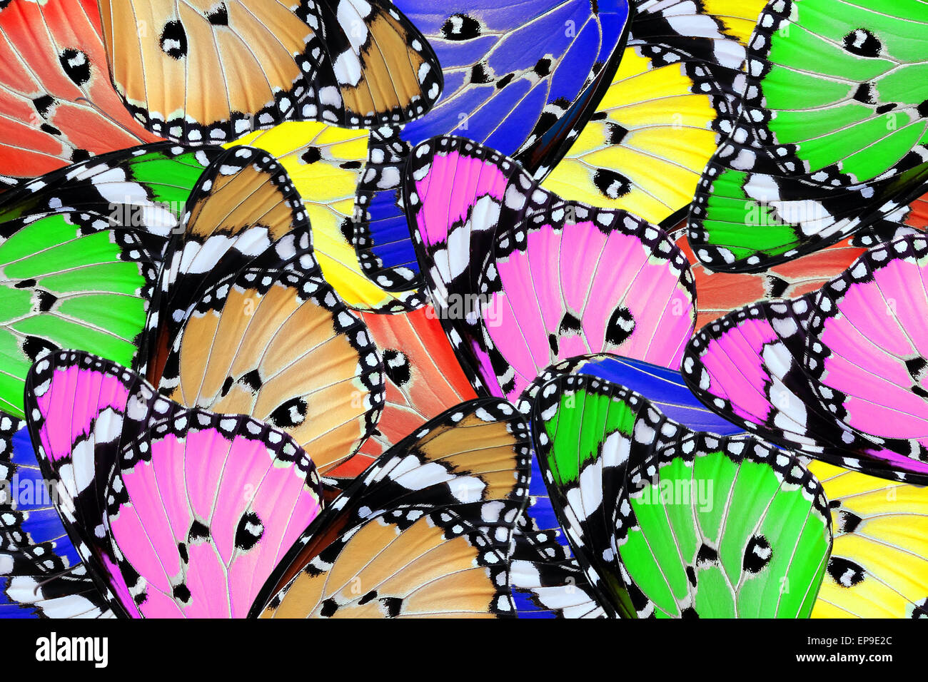 exotic color of butterfly wing as nature background Stock Photo Alamy