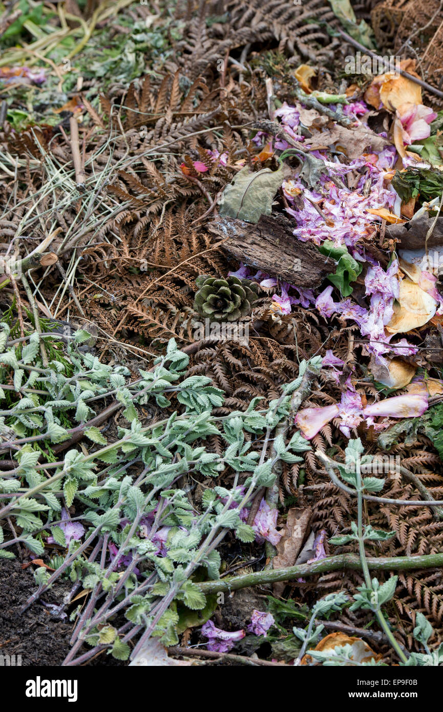 Dead flowers composting hires stock photography and images Alamy