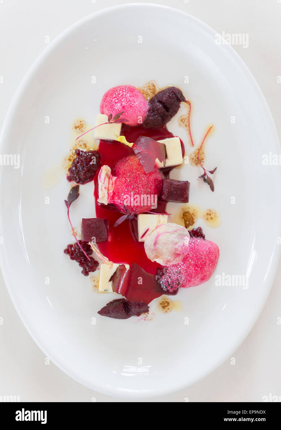 Textures of Beetroot with blue cheese panna cotta. Stock Photo