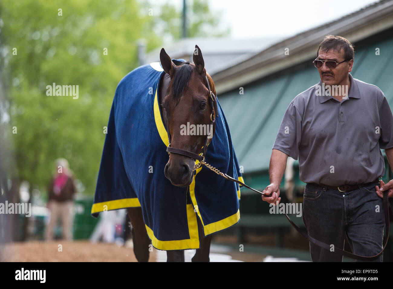 American pharaoh preakness hi-res stock photography and images - Alamy
