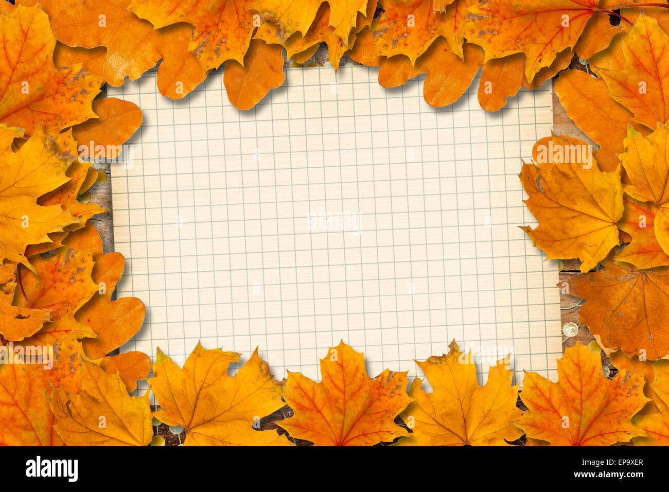 Bright fallen autumn leaves on the old paper background Stock Photo - Alamy