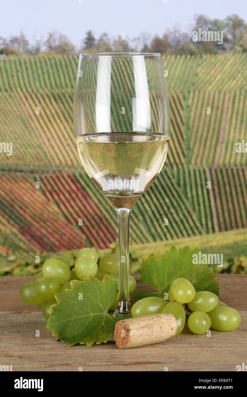 Wei├ƒwein in einem Weinglas Stock Photo