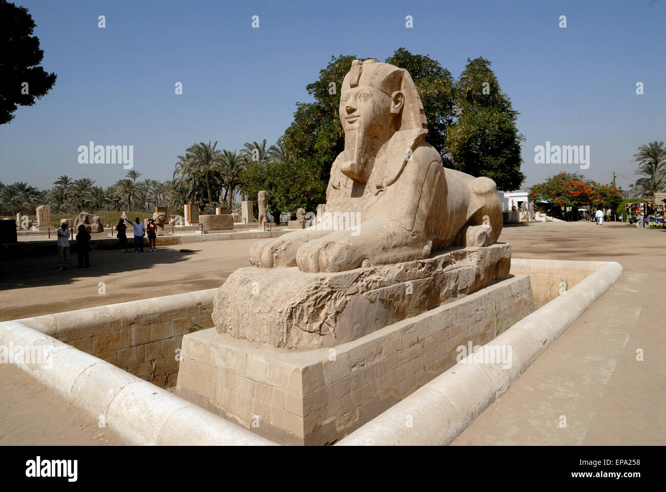 Alabaster sphinx Memphis Egypt Stock Photo Alamy