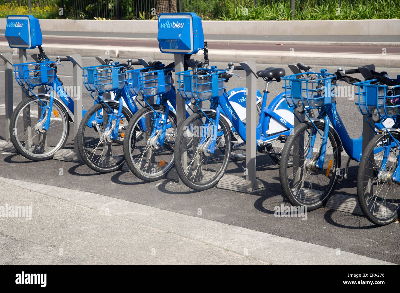 Bicycles for rent, Nice, Cote d'Azur, France Stock Photo Alamy