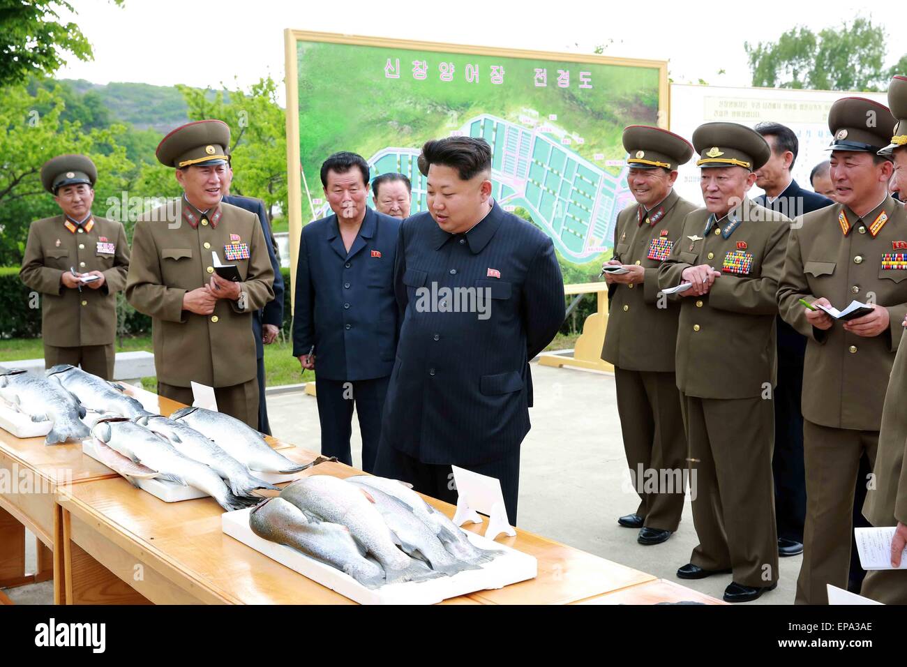 Pyongyang. 15th May, 2015. Photo provided by Korean Central News Agency (KCNA) on May 15, 2015 shows top leader of the Democratic People's Republic of Korea (DPRK) Kim Jong Un (C) recently inspecting Sinchang fish farm under Unit 810 of the Korean People's Army (KPA). Credit:  KCNA/Xinhua/Alamy Live News Stock Photo