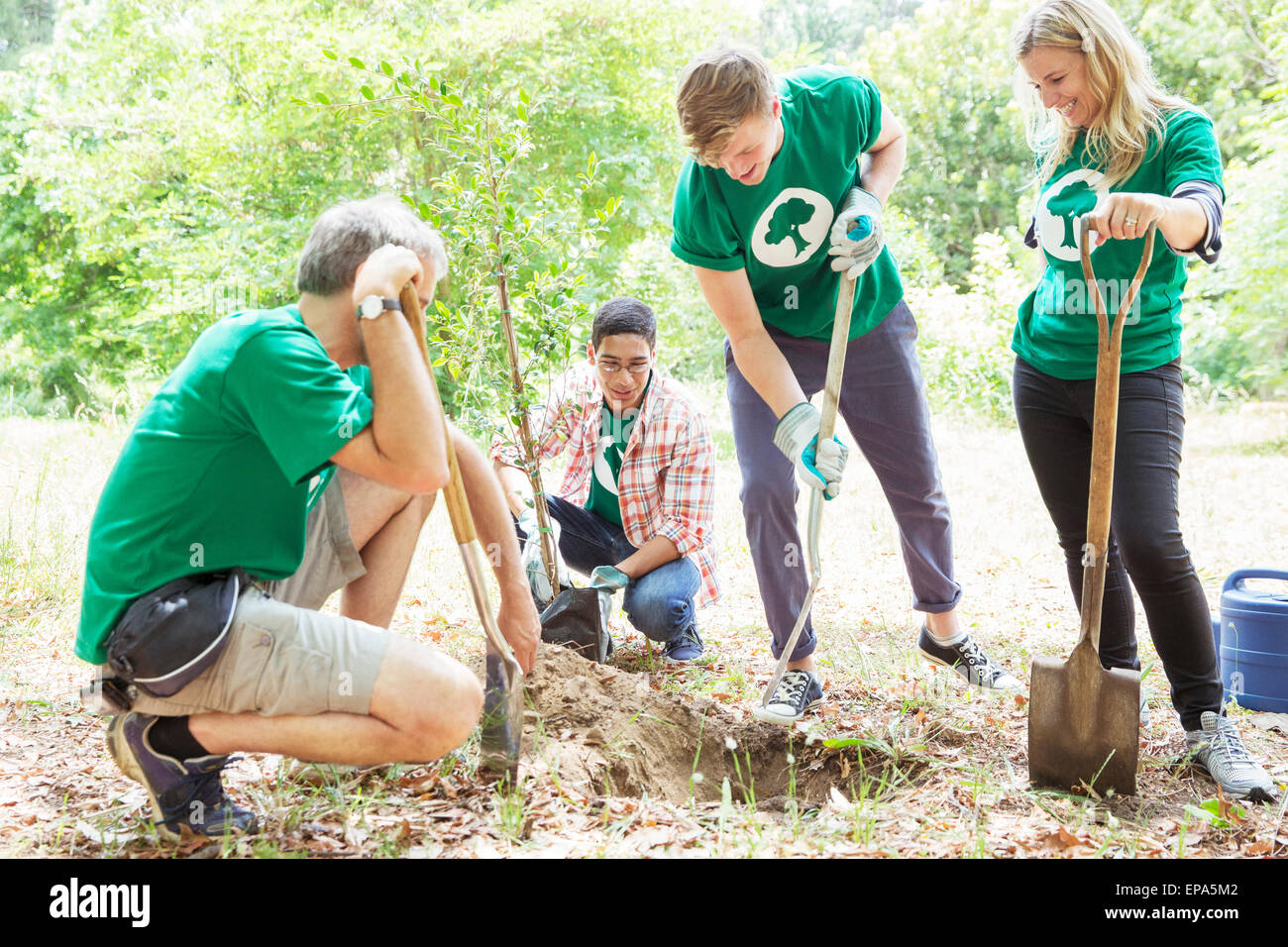 environmentalist volunteering planting tree Stock Photo