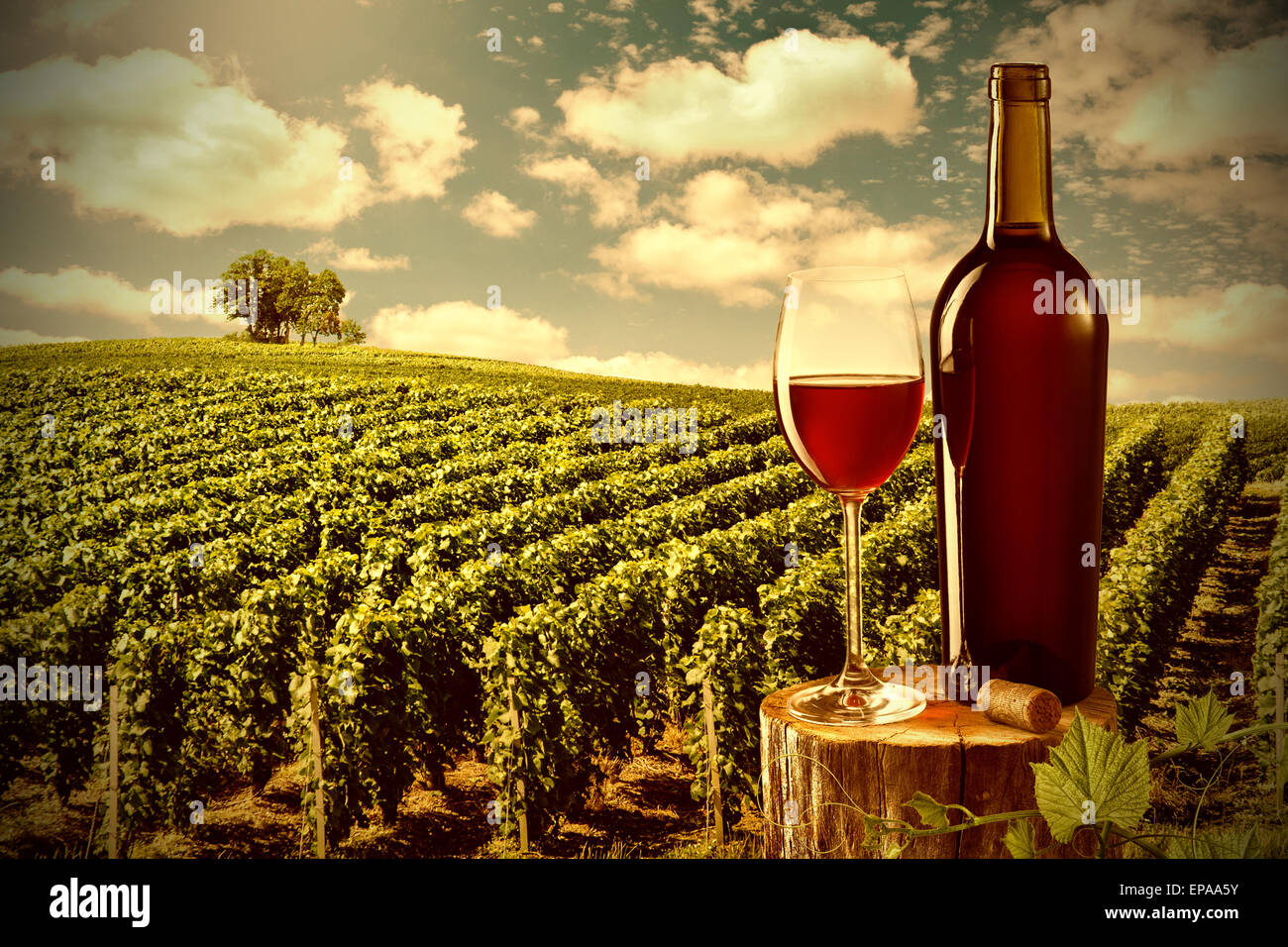 Glass and bottle of red wine against vineyard landscape Stock Photo Alamy