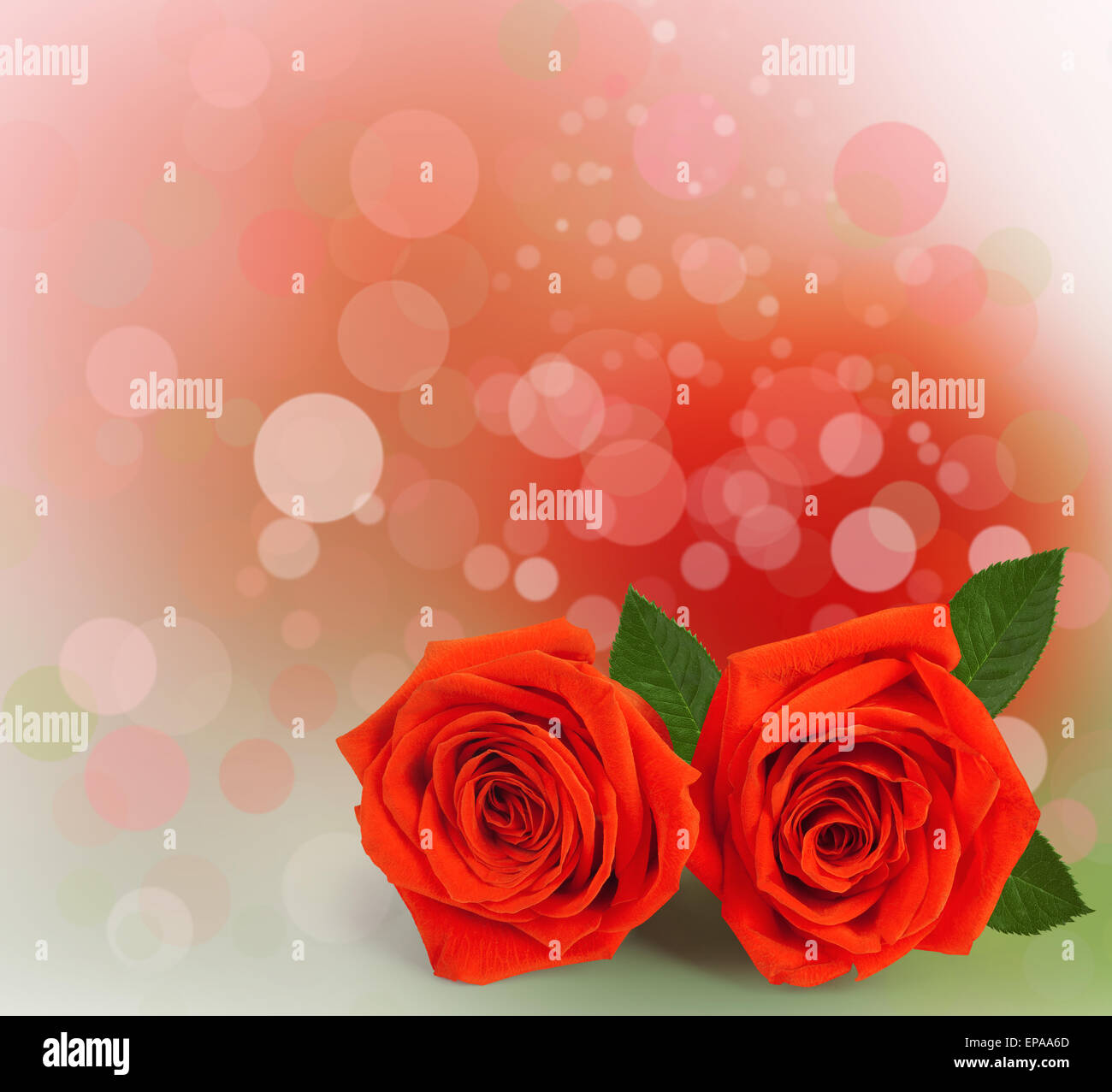 Bouquet of red roses with green leaves on the abstract background with bokeh effect Stock Photo