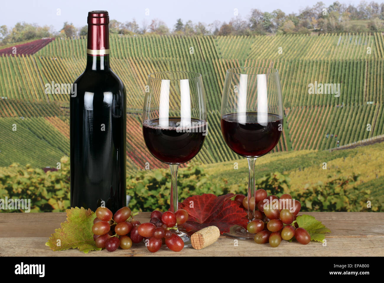 Rotwein in Weinflasche im Weinberg im Herbst Stock Photo