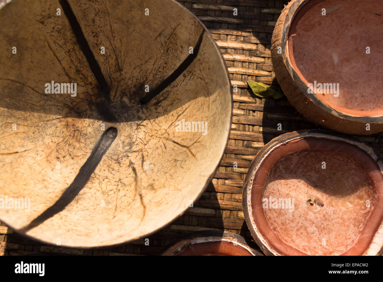 coconut shell drying in the sun Stock Photo