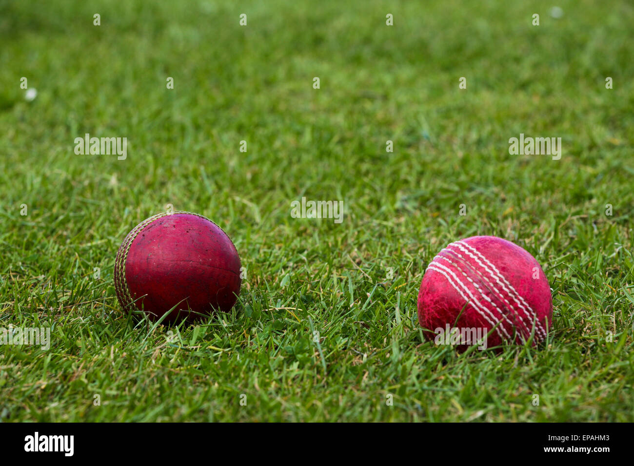 Two used red cricket balls on the playing outfield Stock Photo Alamy