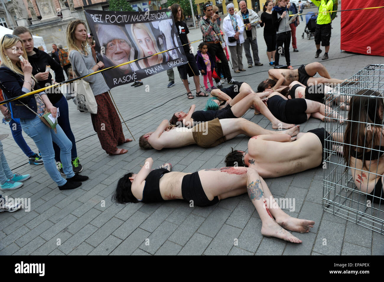 Brno, Czech Republic. 15th May, 2015. Animal rights activist from Czech section of 269Life movement performs a public protest action against maltreatment of animals at large farms in Brno, Czech Republic, Friday, May 15, 2015. About ten activist get burnt a sign of the number 269 on their bodies. Credit:  Vaclav Salek/CTK Photo/Alamy Live News Stock Photo