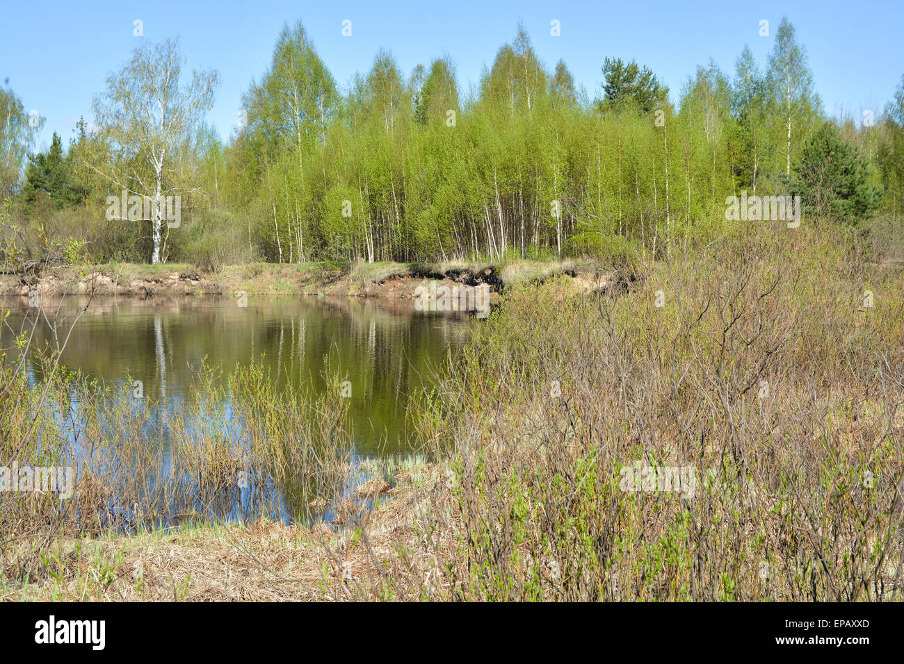 Nature of the Ryazan Territory Nature of the Ryazan Territory