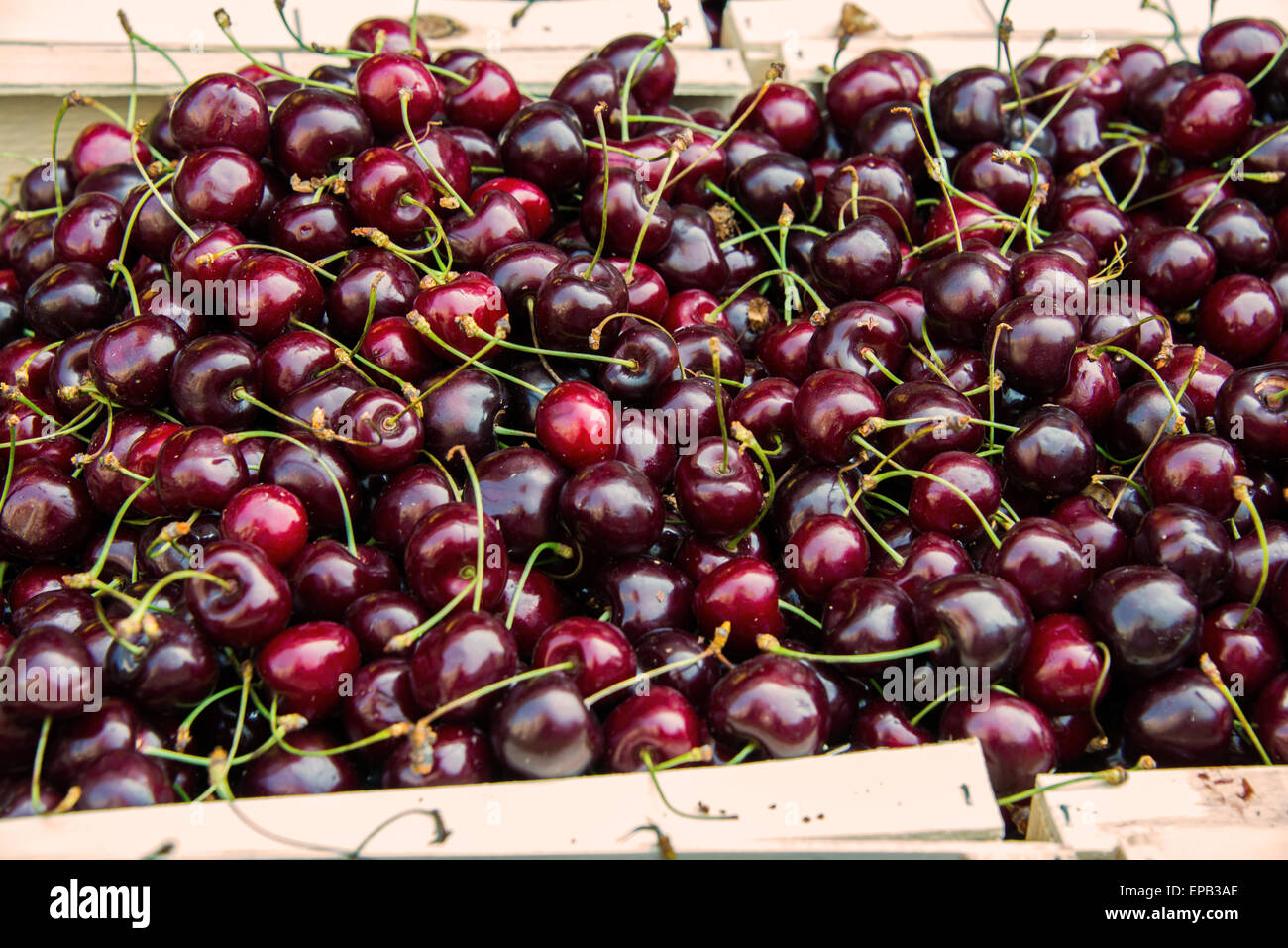 Cherries on sale in healthy concept Stock Photo Alamy