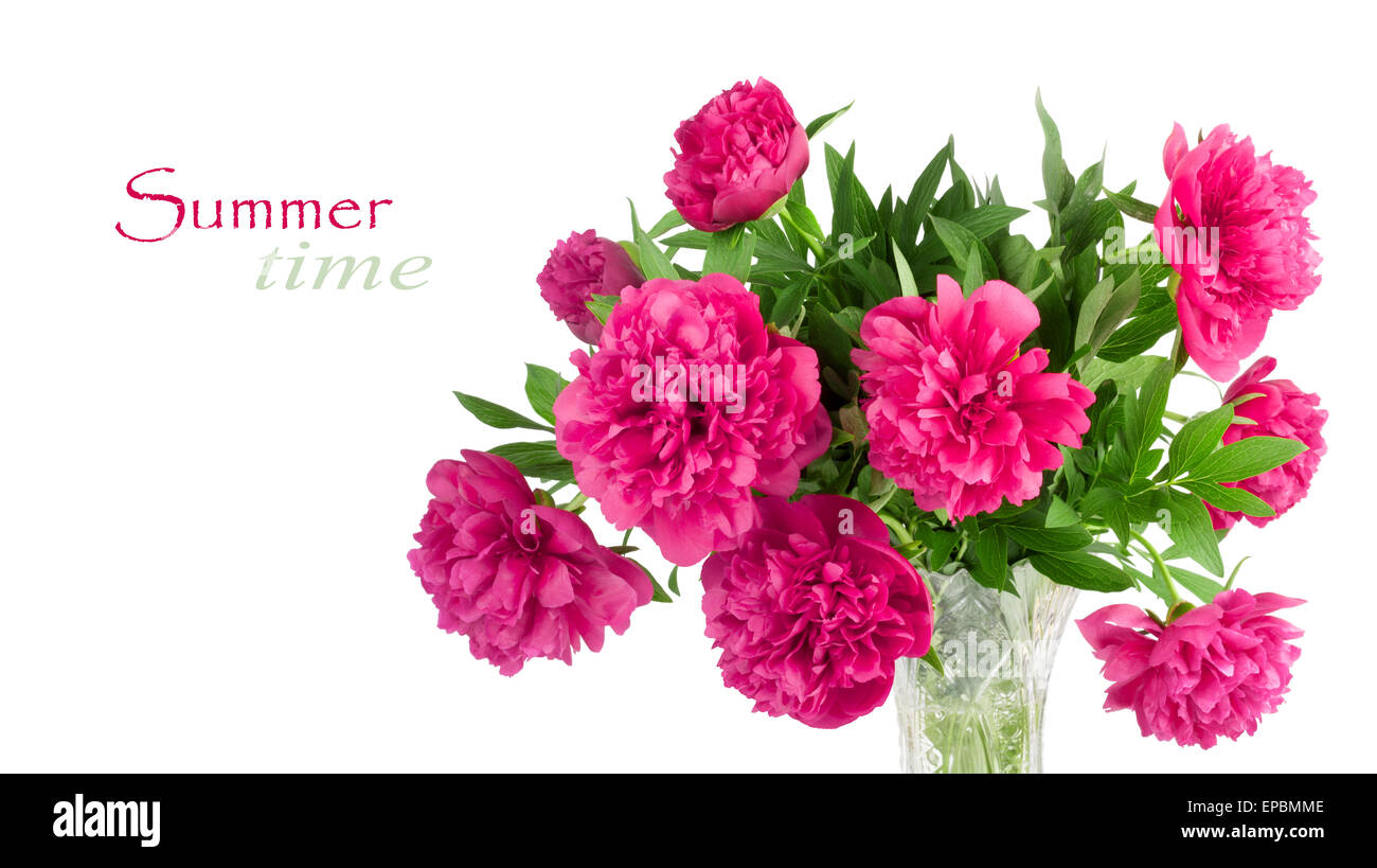 Beautiful bouquet of pink peonies on a white background isolated Stock ...