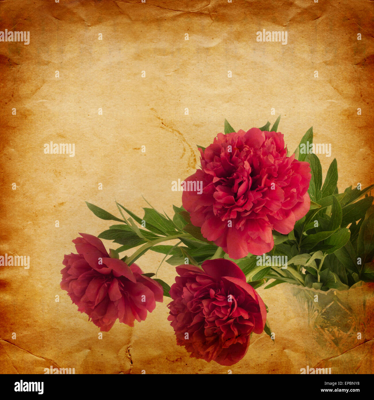Beautiful bouquet of pink peonies on abstract vintage paper background ...