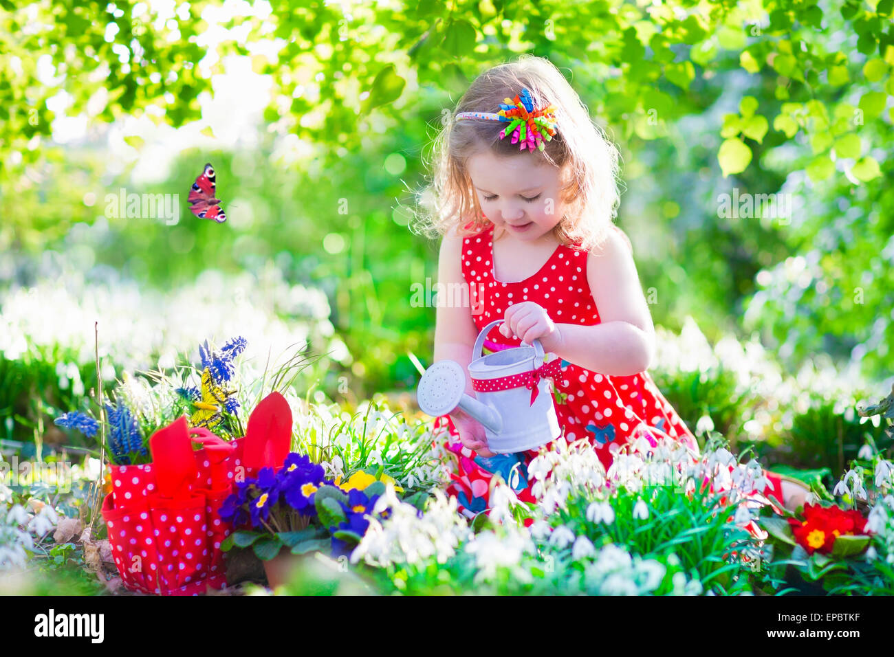 Cute curly little girl in a red summer dress working in the garden watering first spring flowers