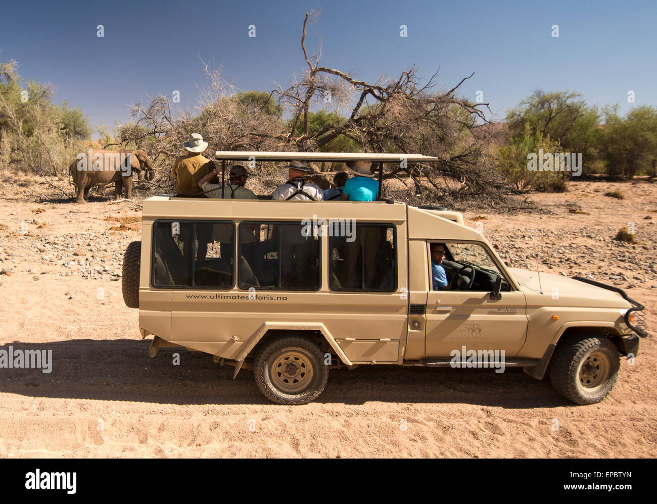 Africa, Namibia. Land Cruiser pulled next to wild elephants. Stock Photo