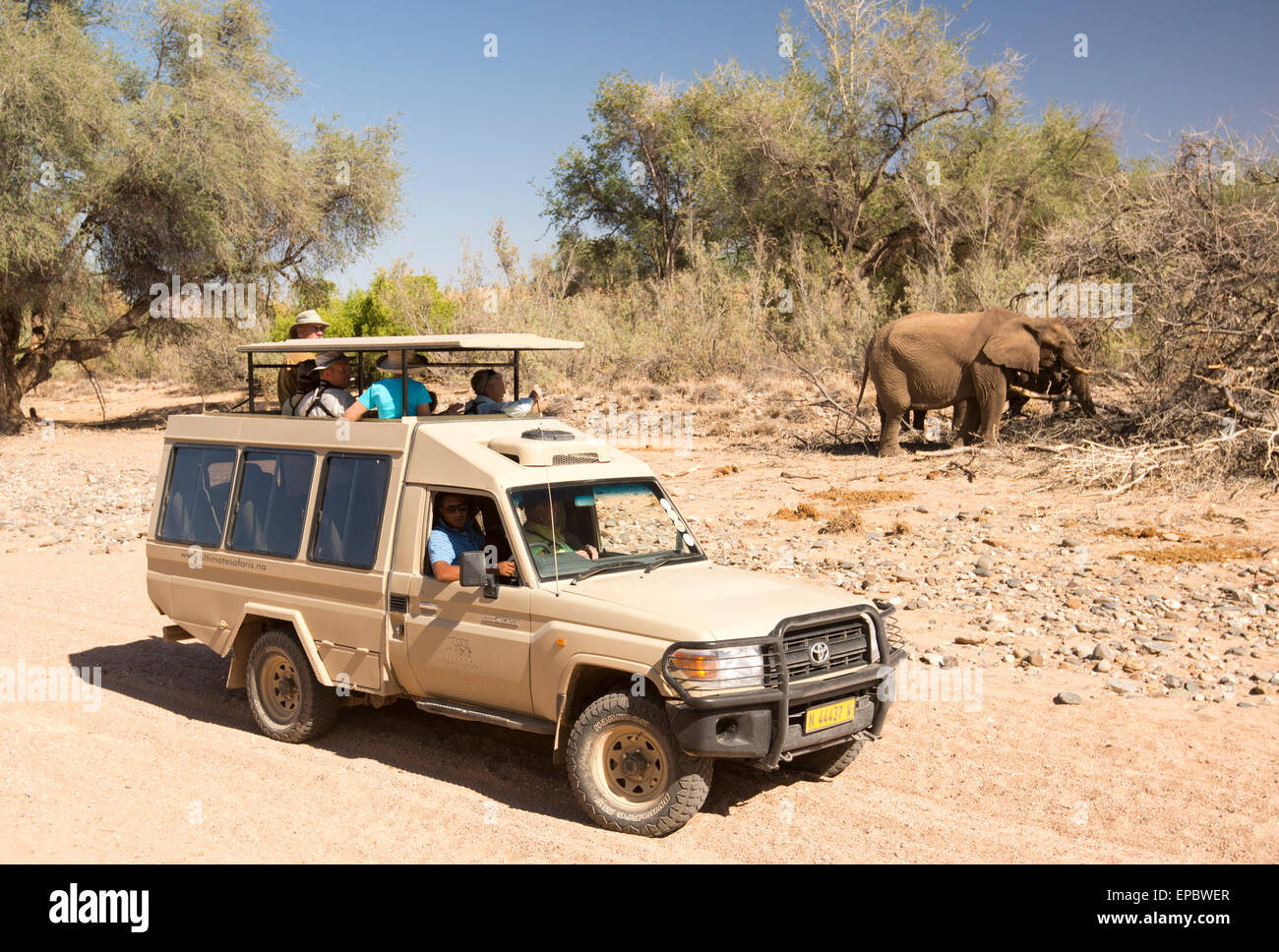 Africa, Namibia. Land Cruiser pulled next to wild elephants. Stock Photo
