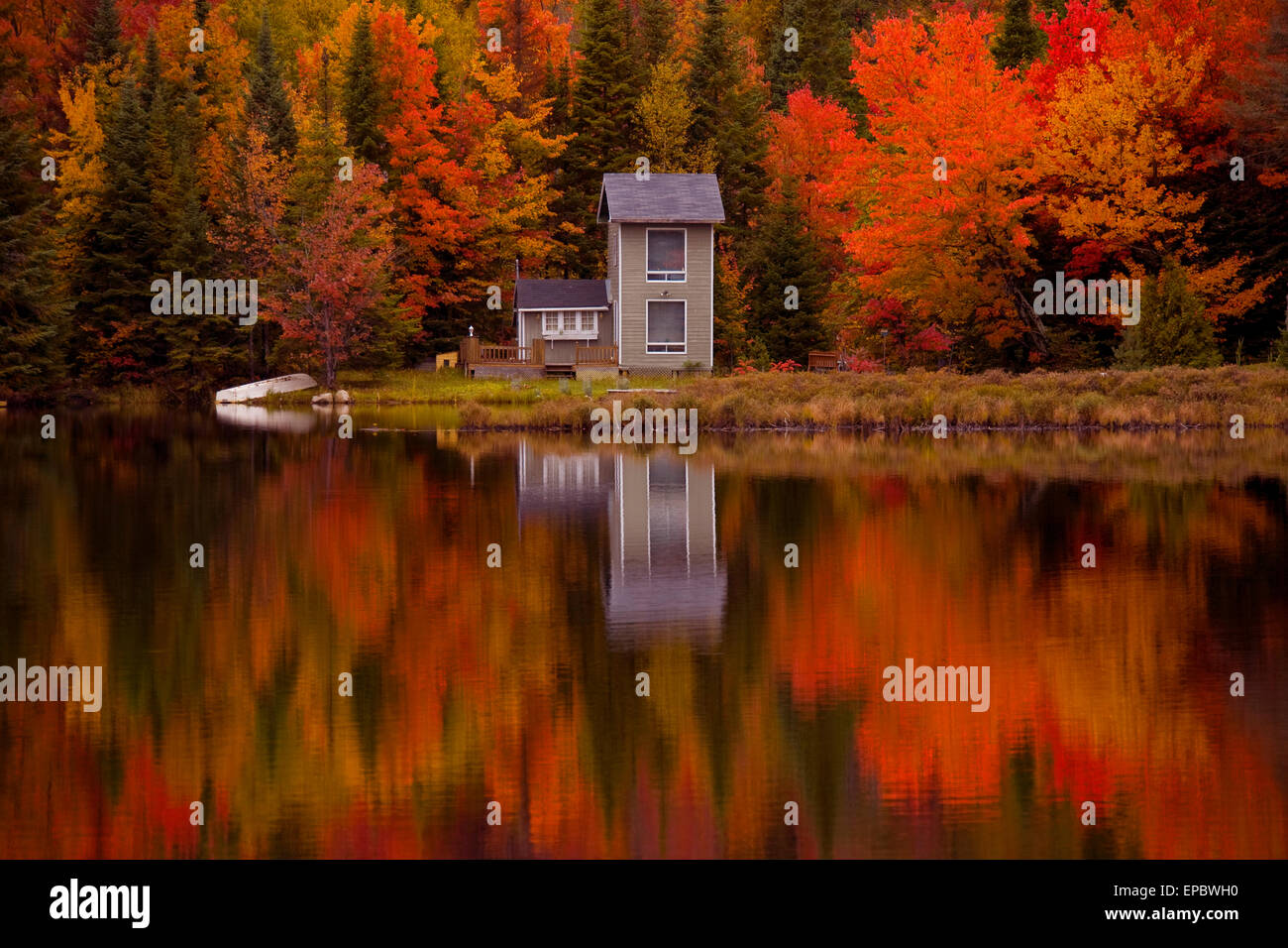 Fall Trees, Four Lakes, Near Saint Jovite, Quebec Stock Photo