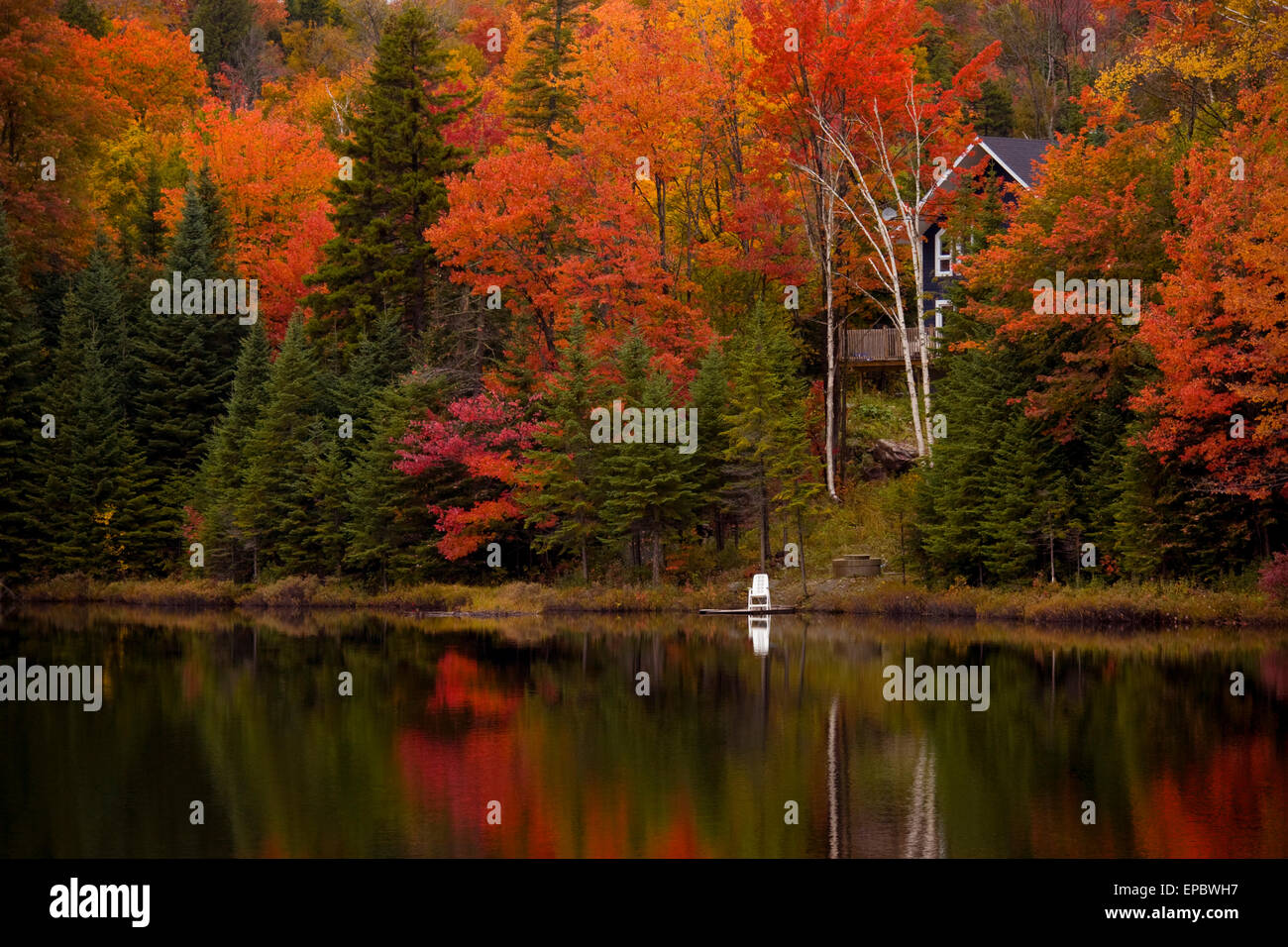 Fall Trees, Four Lakes, Near Saint Jovite, Quebec Stock Photo
