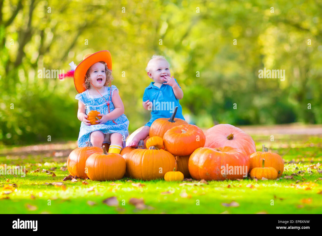 Happy children at pumpkin patch during Halloween, little girl in a blue ...