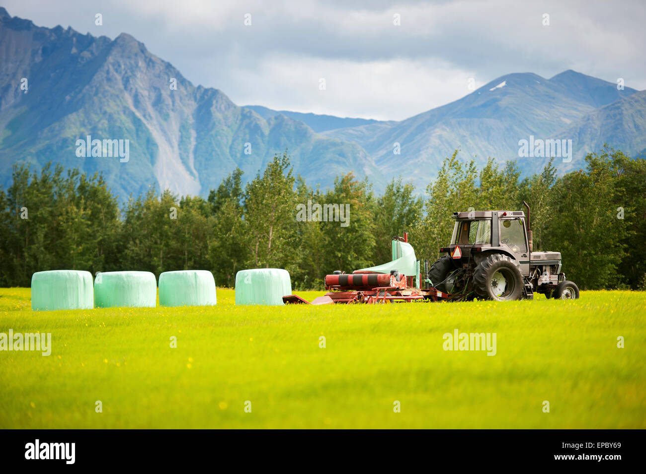 Haylage on a farm; Palmer, Alaska, United States of America Stock Photo