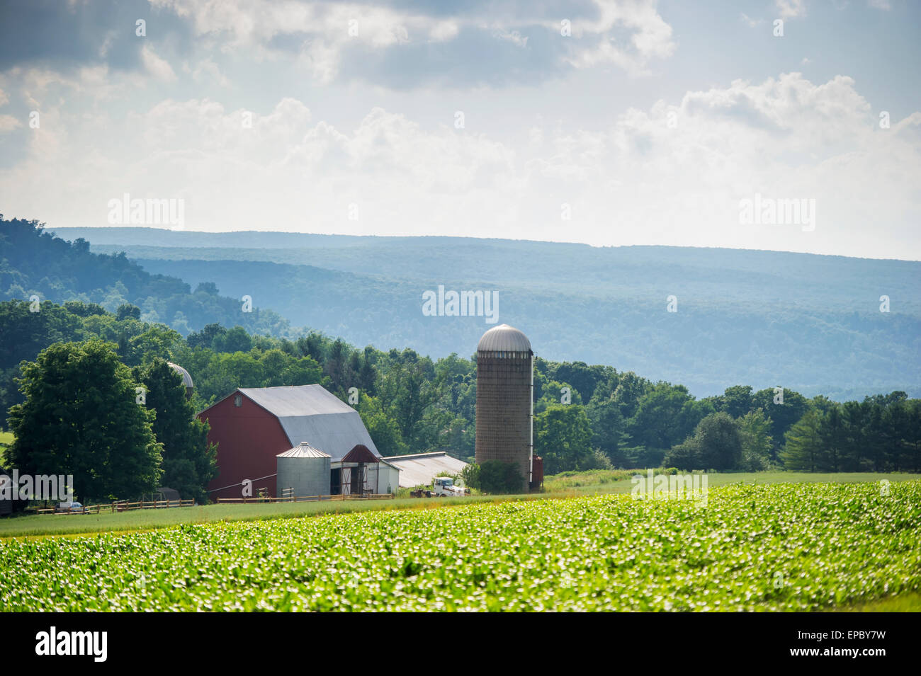 Scenic landscape of farm in Garrett County; Maryland, United States of America Stock Photo