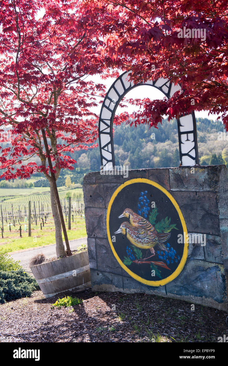 The sign at Yamhill Valley Vineyards and rolling fields of vines near McMinnville, Oregon. Stock Photo